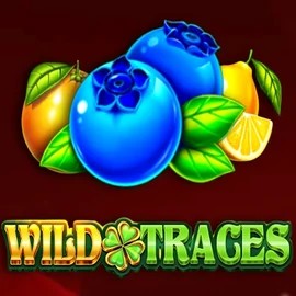 Try Wild Traces slot by Amusnet Interactive on lizzarocasino.com – logo image